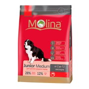 Molina Junior Medium для щенков средних пород