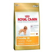 Royal Canin Poodle Adult корм для взрослых собак породы Пудель