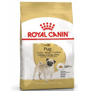 Royal Canin Pug Adult Корм сухой для взрослых собак породы Мопс от 10 месяцев