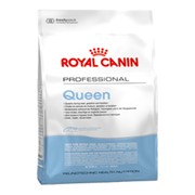 Royal Canin Queen корм для беременных и лактирующих кошек