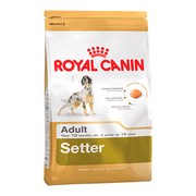 Royal Canin Setter Adult корм для собак породы Сеттер