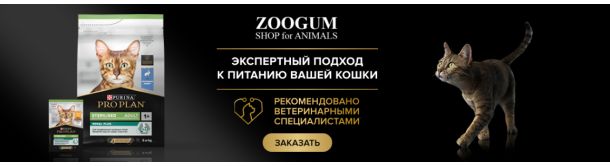 Акция! Купи паучи и сухой корм Purina Pro Plan для кошек!!!