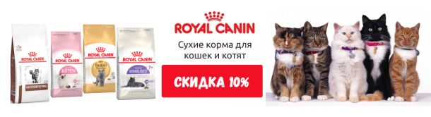 Акция! Купи корм Royal Canin сухой корм для кошек и котят со скидкой 10%