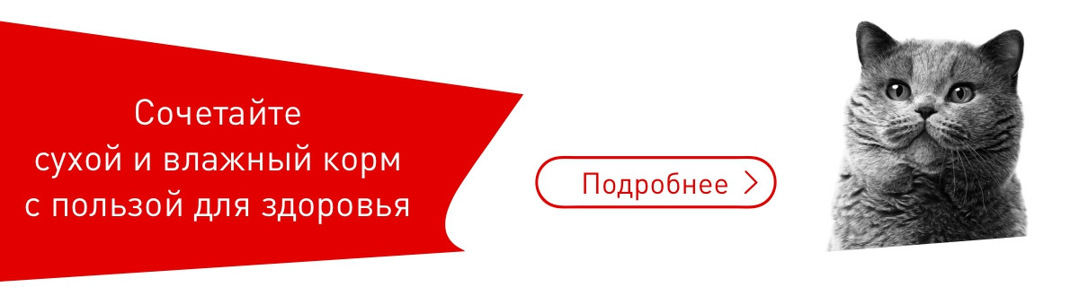 Смешанное питание для кошек