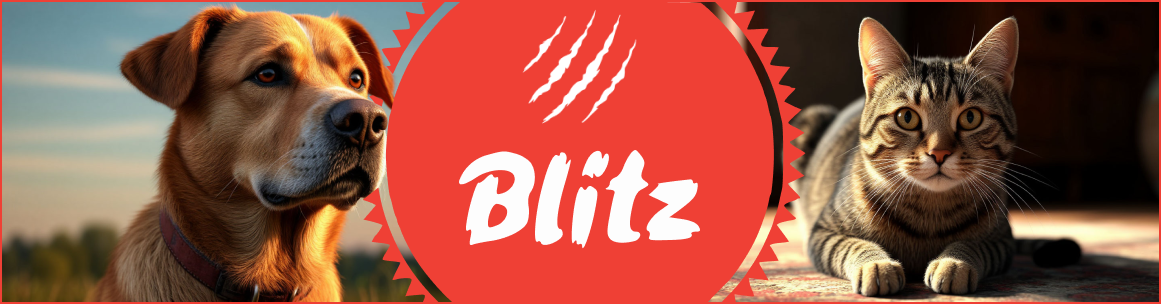 Корма Blitz