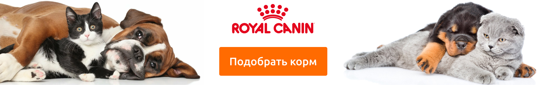 Подборк корма Royal Canin