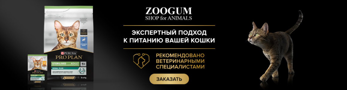 Акция! Купи паучи и сухой корм Purina Pro Plan для кошек!!!