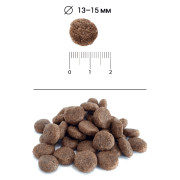 Blitz Holistic Fresh Trout Adult Dog Medium & Large breeds (Monoprotein) монопротеиновый сухой корм для взрослых собак средних и крупных пород, свежая форель