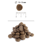 Blitz Holistic Fresh Lamb Adult Dog Medium & Large breeds (Monoprotein) монопротеиновый сухой корм для взрослых собак средних и крупных пород, свежий ягненок