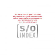 Royal Canin Urinary S/O консервы для собак при мочекаменной болезни