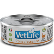 Farmina Vet Life Convalescence консервы паштет диета для кошек в период восстановления