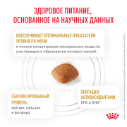 Royal Canin Urinary S/O LP 18 Canine Корм сухой диетический для взрослых собак при мочекаменной болезни