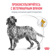 Royal Canin Urinary S/O LP 18 Canine Корм сухой диетический для взрослых собак при мочекаменной болезни