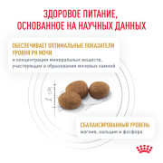 Rоyal Canin Urinary S/O LP34 Корм сухой полнорационный для взрослых кошек, способствующий растворению струвитных мочевых камней и снижению риска их повторного образования.