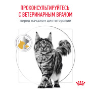 Rоyal Canin Urinary S/O LP34 Корм сухой полнорационный для взрослых кошек, способствующий растворению струвитных мочевых камней и снижению риска их повторного образования.