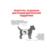 Royal Canin Urinary S/O Small Dog корм для собак мелких размеров при заболеваниях мочевыделительной системы
