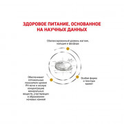 Royal Canin Urinary S/O Small Dog корм для собак мелких размеров при заболеваниях мочевыделительной системы