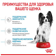 Royal Canin X-Small Puppy Корм сухой полнорационный для щенков миниатюрных пород (вес взрослой собаки до 4 кг) в возрасте до 10 месяцев