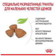 Royal Canin X-Small Puppy Корм сухой полнорационный для щенков миниатюрных пород (вес взрослой собаки до 4 кг) в возрасте до 10 месяцев