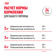 Royal Canin Yorkshire Terrier Adult Корм сухой для взрослых собак породы Йоркширский терьер от 10 месяцев