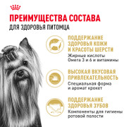 Royal Canin Yorkshire Terrier Adult Корм сухой для взрослых собак породы Йоркширский терьер от 10 месяцев