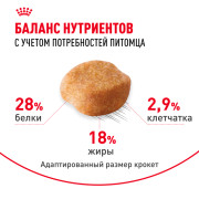 Royal Canin Yorkshire Terrier Adult Корм сухой для взрослых собак породы Йоркширский терьер от 10 месяцев