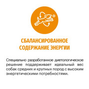 Karmy Active Medium&Maxi, сухой корм для активных собак средних и крупных пород, индейка