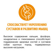 Karmy Active Medium&Maxi, сухой корм для активных собак средних и крупных пород, индейка