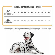 Karmy Active Medium&Maxi, сухой корм для активных собак средних и крупных пород, индейка