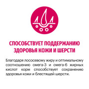 Karmy Adult сухой корм для взрослых кошек телятина