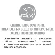 Karmy British Kitten сухой корм для котят породы британская короткошерстная, беременных и кормящих кошек
