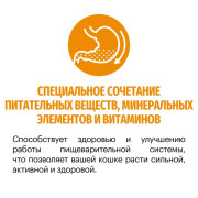 Karmy Hair&Skin сухой корм для кошек, поддерживающий здоровье кожи и шерсти лосось