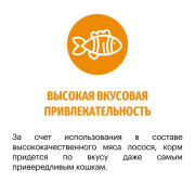 Karmy Hair&Skin сухой корм для кошек, поддерживающий здоровье кожи и шерсти лосось
