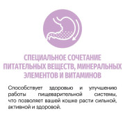 Karmy Kitten сухой корм для котят, беременных и кормящих кошек индейка