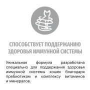 Karmy Maine Coon Kitten сухой корм для котят породы мейн-кун, беременных и кормящих кошек
