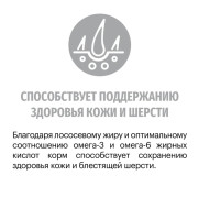 Karmy Maine Coon сухой корм для кошек породы мейн-кун