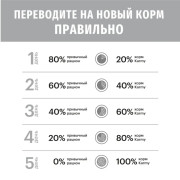 Karmy Maine Coon сухой корм для кошек породы мейн-кун