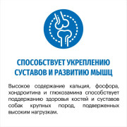 Karmy Maxi Adult сухой корм для собак крупных пород телятина