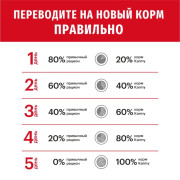 Karmy Medium Adult сухой корм для собак средних пород индейка