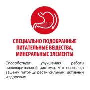 Karmy Medium Junior сухой корм для щенков средних пород индейка