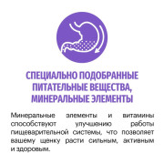 Karmy Starter All Breeds сухуой корм для щенков, беременных и кормящих сук индейка