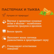 Little One лакомые ветви с пастернаком и тыквой для всех видов грызунов