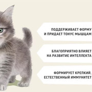 Деревенские лакомства сухой корм для котят, курица