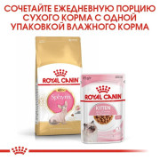 Royal Canin Kitten Sphynx сухой корм для котят породы Сфинкс