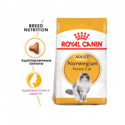 Royal Canin Norwegian Forest Cat сухой корм для кошек породы Норвежская лесная
