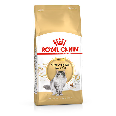 Royal Canin Norwegian Forest Cat сухой корм для кошек породы Норвежская лесная