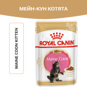 Royal Canin Kitten Maine Coon консервы для котят породы Мейн-кун