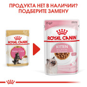 Royal Canin Kitten Maine Coon консервы для котят породы Мейн-кун