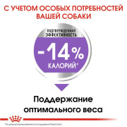 Royal Canin Mini Sterilised Корм сухой для взрослых стерилизованных собак мелких размеров, склонных к набору веса, 3 кг
