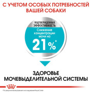 Royal Сanin Mini Urinary Care Корм сухой для собак мелких размеров с чувствительной мочевыделительной системой, 1 кг